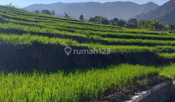 Di jual tanah murah lokasi sangat strategis  1