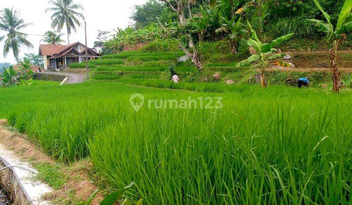 Di jual tanah murah lokasi sangat strategis nempel jalan desa 1