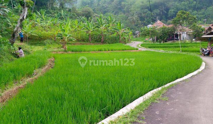 Di jual tanah murah lokasi sangat strategis nempel jalan desa 2