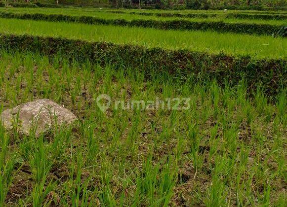 Di jual tanah murah lokasi sangat strategis view lepas  1