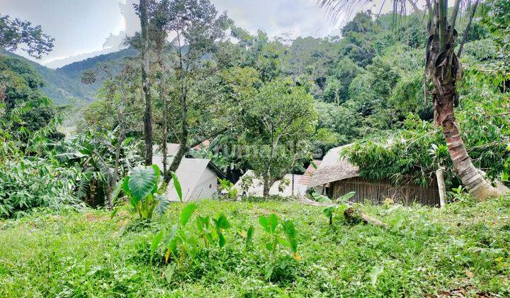 Di jual tanah murah view lepas. Lokasi nempel jalan raya. 1