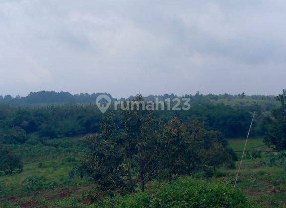 Di jual lahan tanah murah lokasi sangat strategis  2