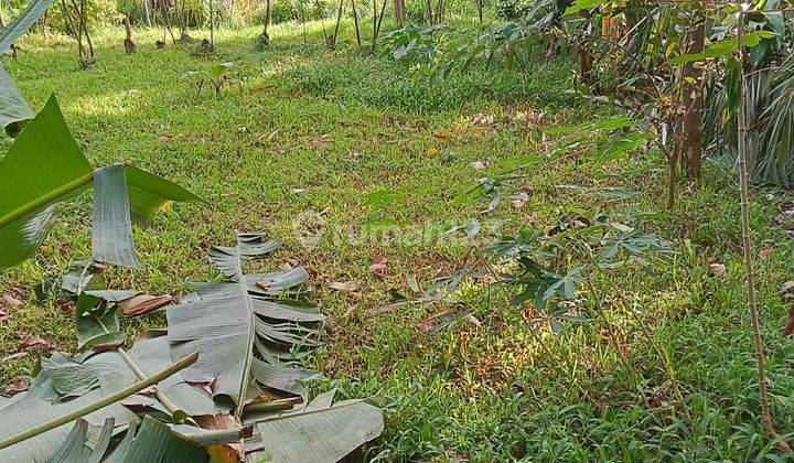 Di jual tanah murah lokasi sangat strategis nempel jalan  1