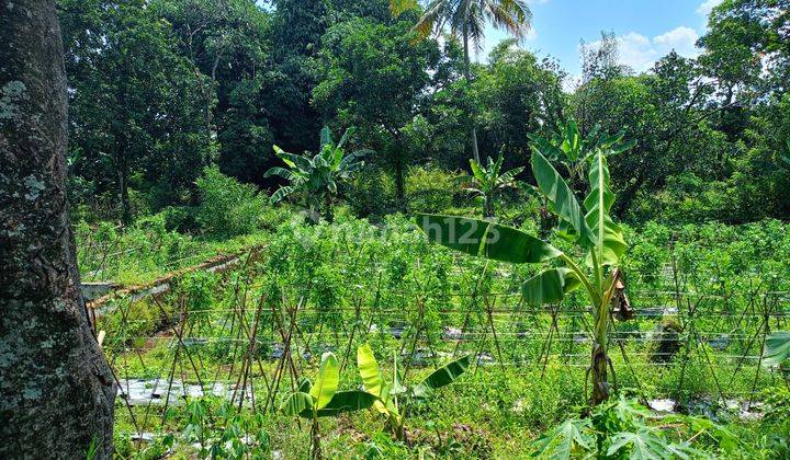 Di jual lahan tanah. Lokasi sangat strategis view lepas  1