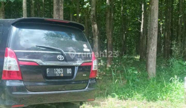 DI JUAL LAHAN TANAH LOKASI SANGAT STRATEGIS NEMPEL JALAN VIEW LEPAS. 2