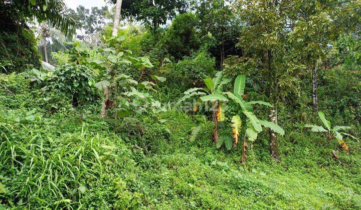 DI JUAL TANAH CEPAT LOKASI SANGAT STRATEGIS  2