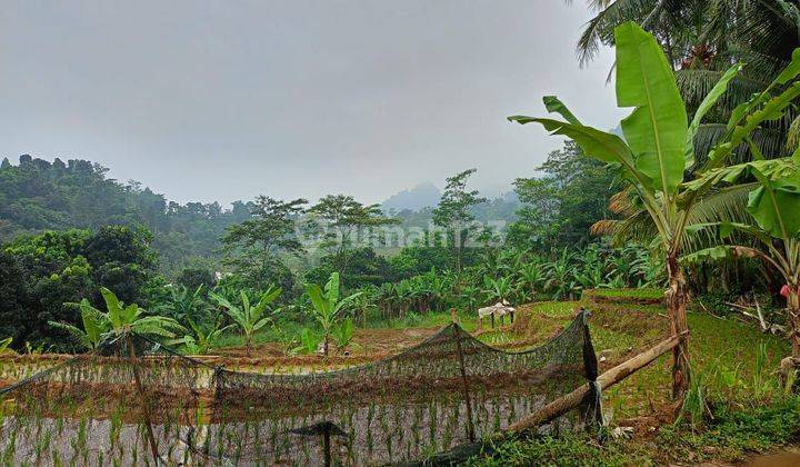 DI JUAL TANAH CEPAT. LOKASI NEMPEL JALAN 2