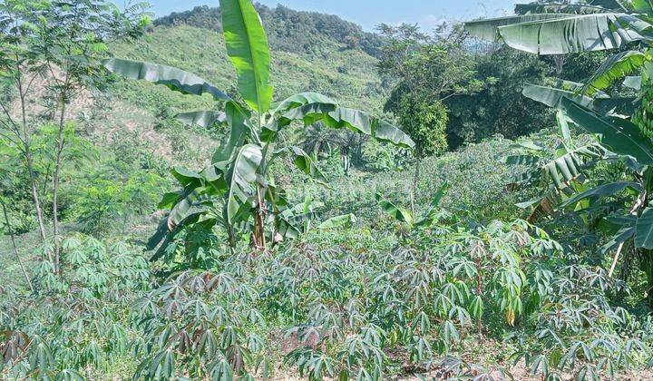 DI JUAL LAHAN TANAH. LOKASI SANGAT STRATEGIS VIEW LEPAS  1