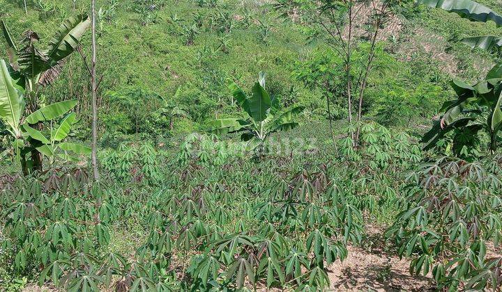 DI JUAL LAHAN TANAH. LOKASI SANGAT STRATEGIS VIEW LEPAS  2