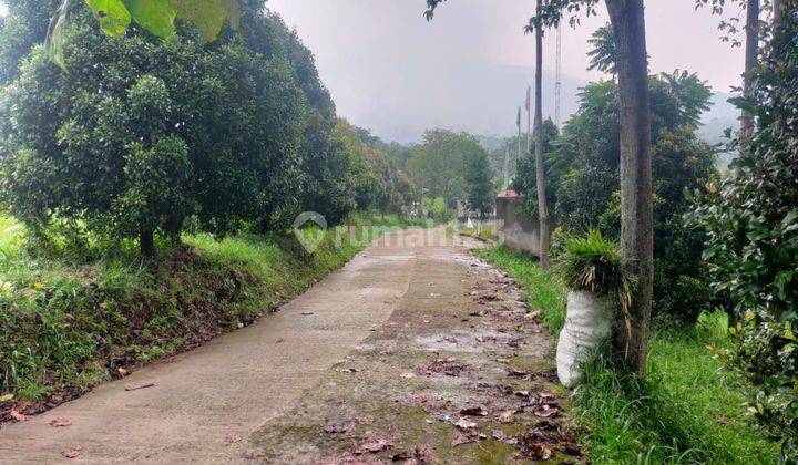 DI JUAL TANAH LOKASI NEMPEL JALAN VIEW LEPAS  1