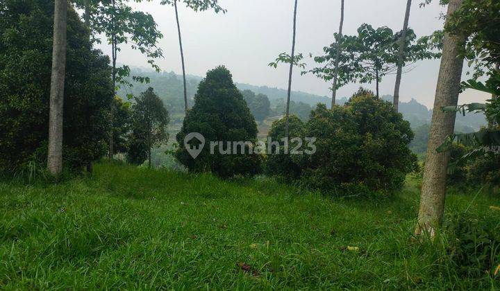 DI JUAL TANAH LOKASI NEMPEL JALAN VIEW LEPAS  2