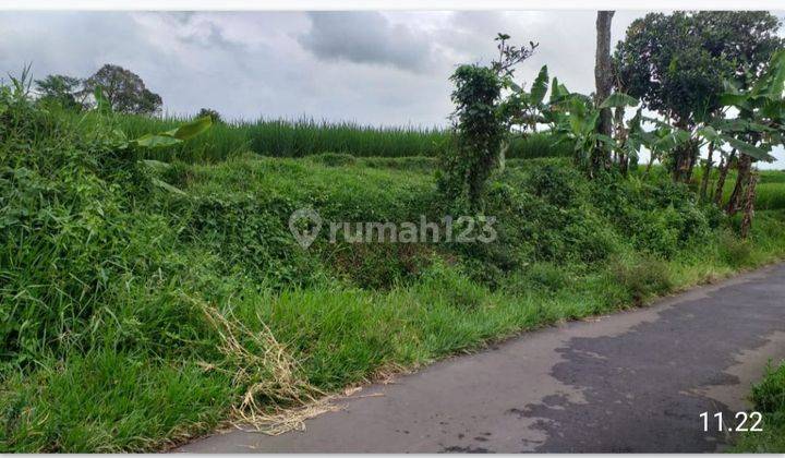 DI JUAL TANAH CEPAT. LOKASI SANGAT STRATEGIS  1