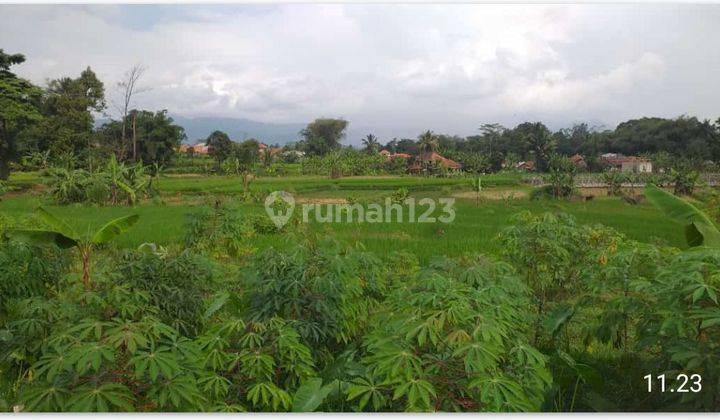 DI JUAL LAHAN TANAH. LOKASI NEMPEL JALAN DESA 1