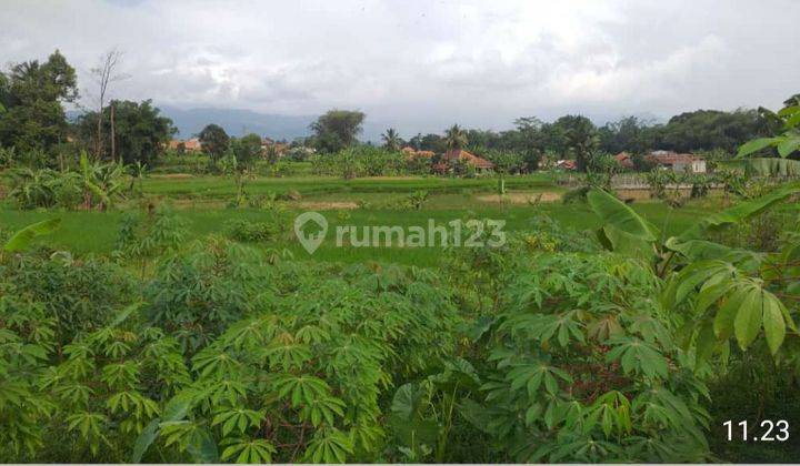 DI JUAL LAHAN TANAH. LOKASI NEMPEL JALAN DESA 2