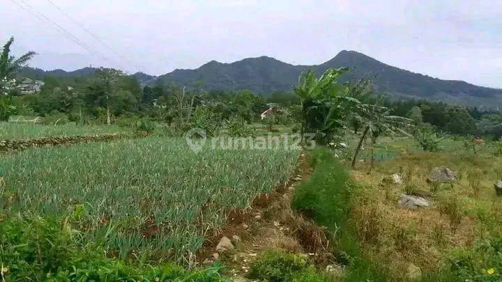 Di jual lahan tanah. Di cianjur cipanas 2