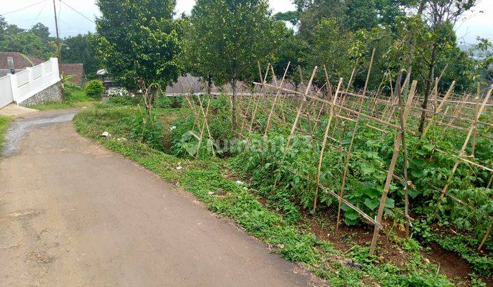 Di jual tanah murah lokasi sangat strategis nempel jalan view lepas gunung  1