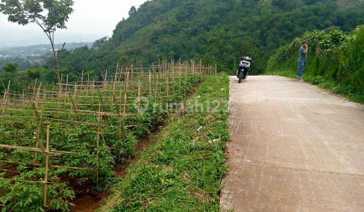 Di jual tanah murah lokasi sangat strategis nempel jalan view lepas gunung  2