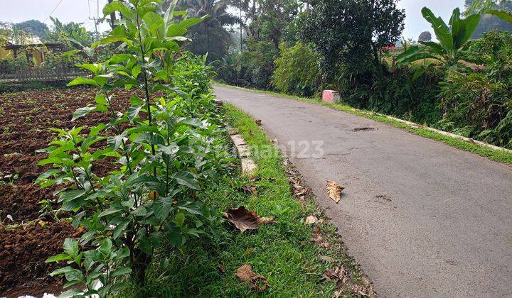 DI JUAL TANAH LOKASI NEMPEL JALAN  1