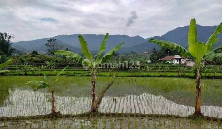 DI JUAL TANAH LOKASI SANGAT SUBUR DAN STRATEGIS  2