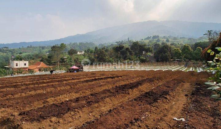 DI JUAL LAHAN TANAH PRODUKTIF LOKASI SANGAT STRATEGIS VIEW LEPAS  1