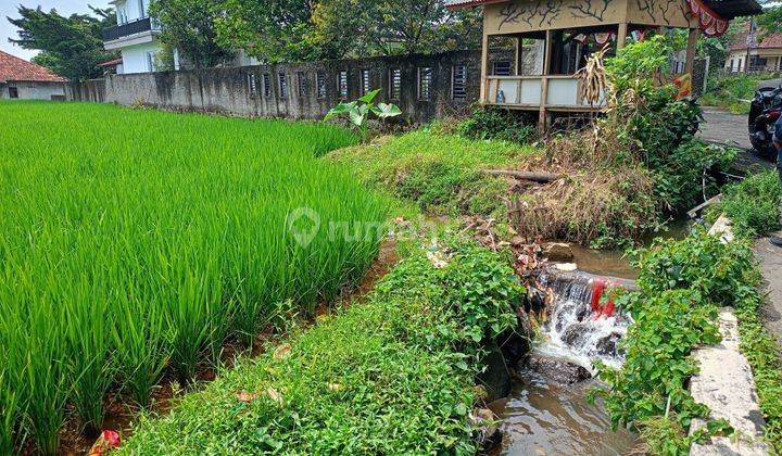 DI JUAL TANAH SAWAH. CEPAT LOKASI SANGAT STRATEGIS VIEW LEPAS  2