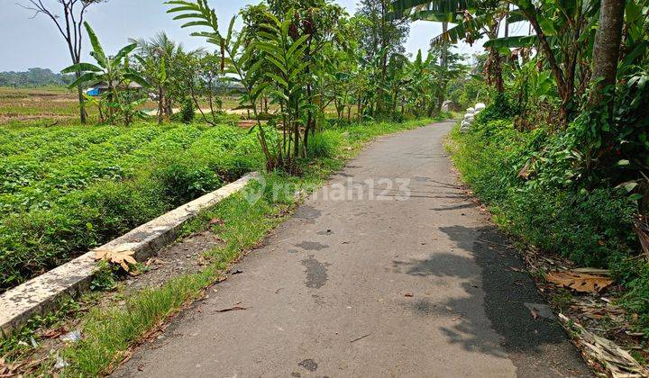 DI JUAL LAHAN TANAH. LOKASI NEMPEL JALAN  1