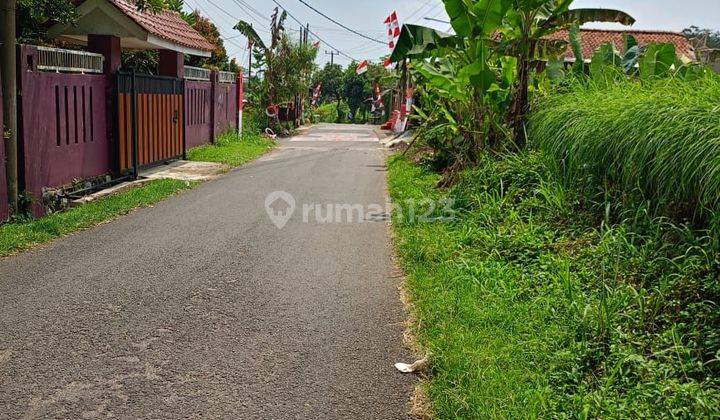 DI JUAL TANAH SAWAH. CEPAT LOKASI SANGAT STRATEGIS VIEW LEPAS  1