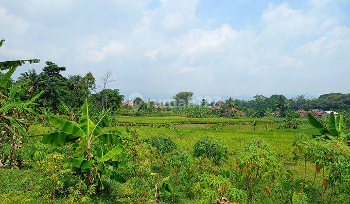 DI JUAL LAHAN TANAH. LOKASI NEMPEL JALAN. 2