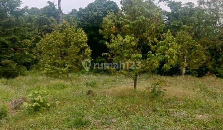 DI JUAL LAHAN TANAH CEPAT LOKASI SANGAT STRATEGIS.  2