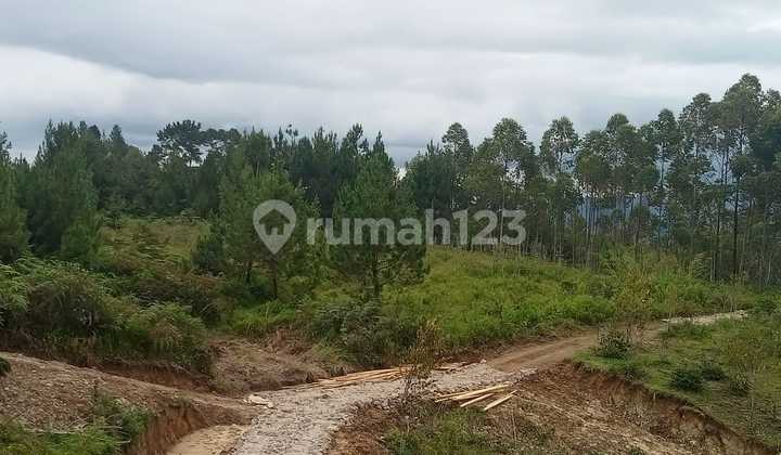 TANAH DISAMOSIR COCOK UNTUK RESORT  4