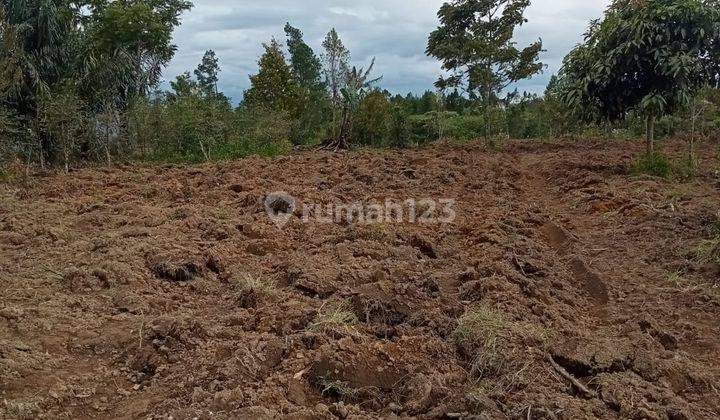TANAH DISAMOSIR COCOK UNTUK RESORT  1