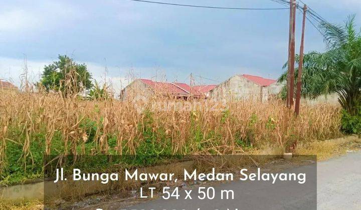 Tanah Luas di Jalan Bunga Mawar, Medan Selayang 1