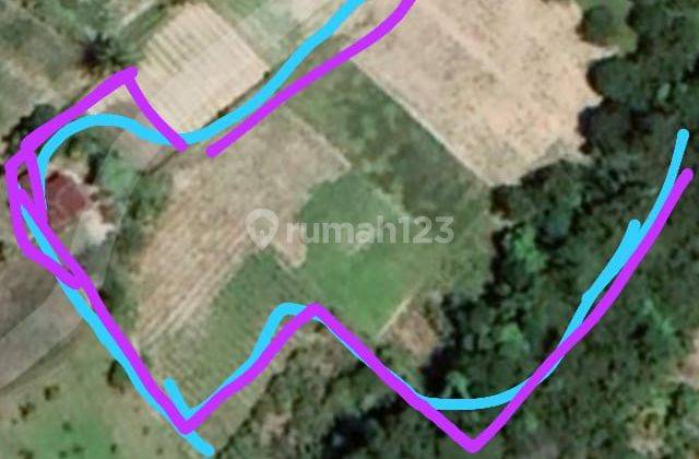 Tanah Luas di Ambarita, Samosir SHM 7.132 m² 4