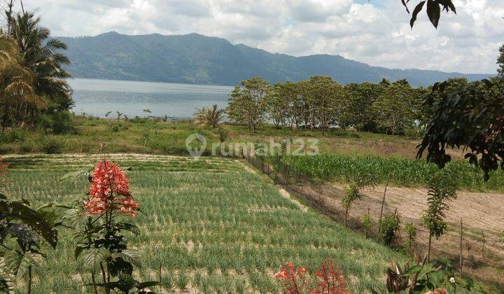 Tanah Luas di Ambarita, Samosir SHM 7.132 m² 5