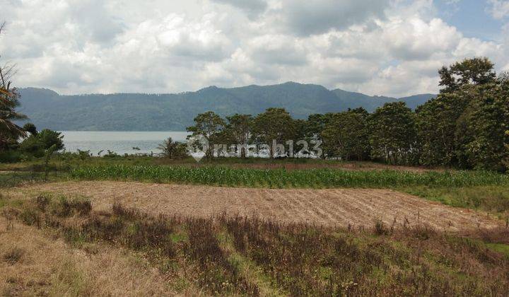 Tanah Luas di Ambarita, Samosir SHM 7.132 m² 7