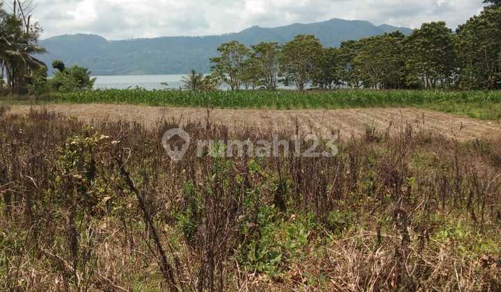 Tanah Luas di Ambarita, Samosir SHM 7.132 m² 10