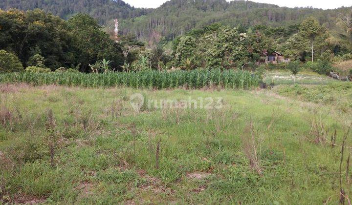 Tanah Luas di Ambarita, Samosir SHM 7.132 m² 13