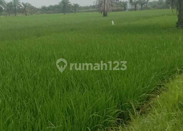 Tanah Di Jual, Dekat Ke Bandara Kuala Namu 2