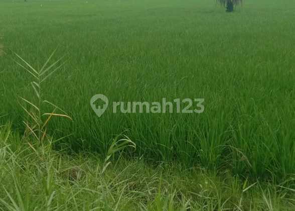 Tanah Di Jual, Dekat Ke Bandara Kuala Namu 1