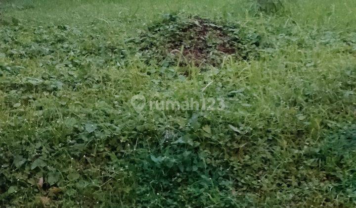 Hot land!! Lahan kavling 190 m² di Cattleya banjar wijaya  4