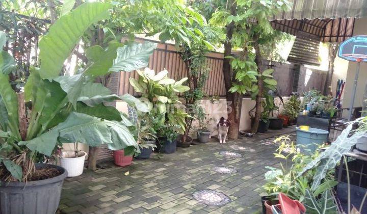 Rumah Murah hook 2 Lantai SHM di Cluster grasia banjarwijaya  2