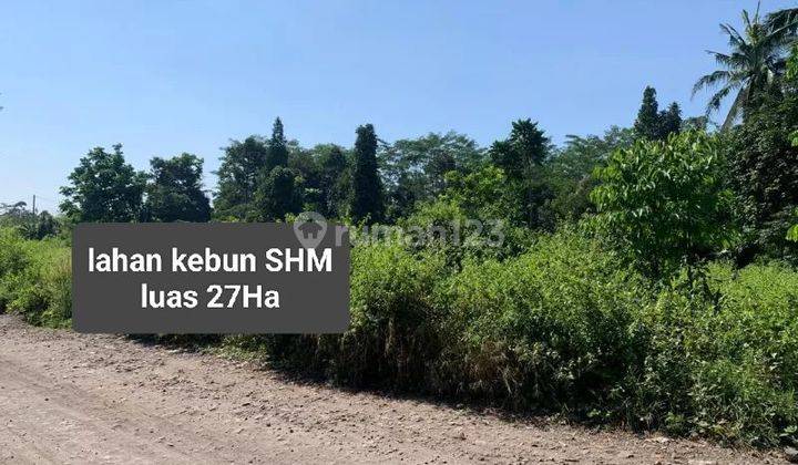 Dijual Tanah kebun view danau SHM di Cibinong hilir cianjur  1