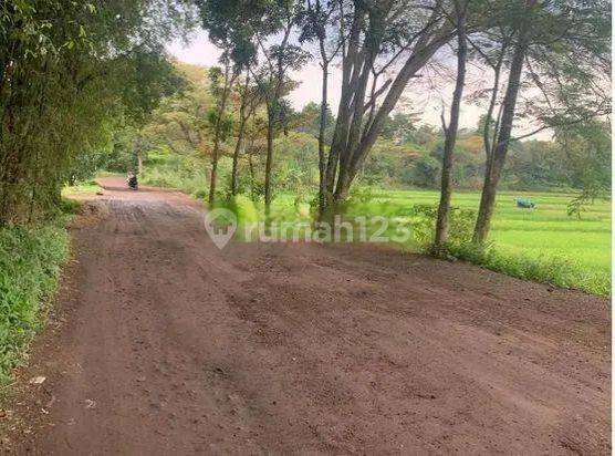 Dijual Tanah kebun view danau SHM di Cibinong hilir cianjur  2