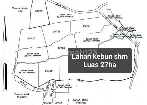 Dijual Tanah Kebun  Luas 27ha Di Cibinong Hilir Cianjur  1