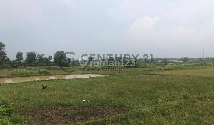 Dijual Tanah Zona Perumahan Cisoka Tangerang Lokasi Strategis  4