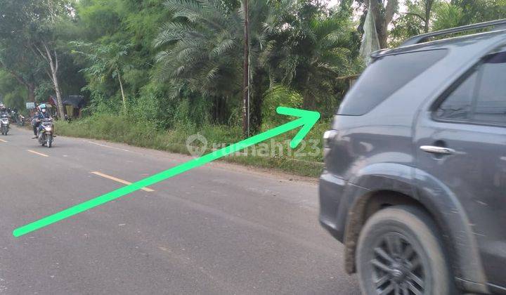 Dijual Cepat Tanah Di Sajira Lebak Banten 3