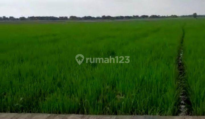 Dijual Tanah Murah Untuk Perumahan Di Cikarang Utara, Bekasi 1