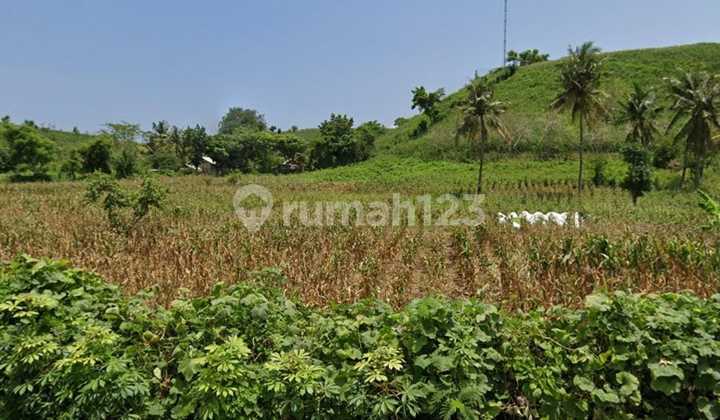 Tanah 204 Are Ekas Jerowaru Lombok Timur Nusa Tenggara Barat