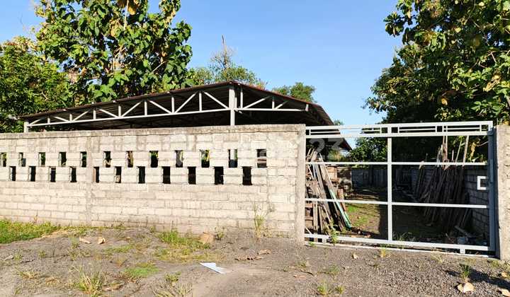 Tanah Siap Bangun Hadap Timur Laut 1140M2 Bongan Tabanan