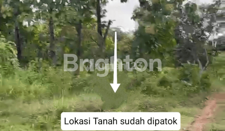 TANAH 230 M² BELAKANG GWK UNGASAN 1